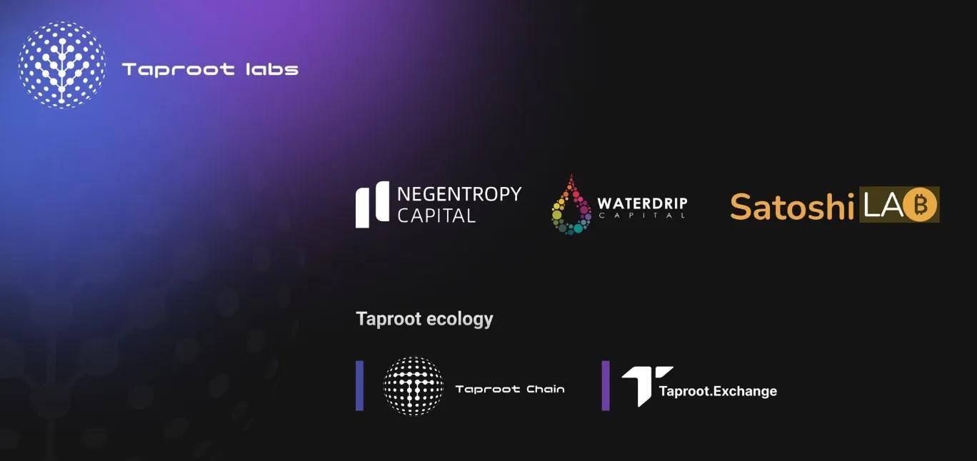 Taproot Labs Investors & Partners